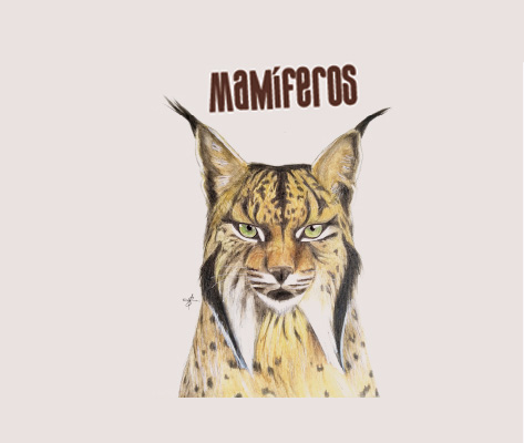 Mamíferos